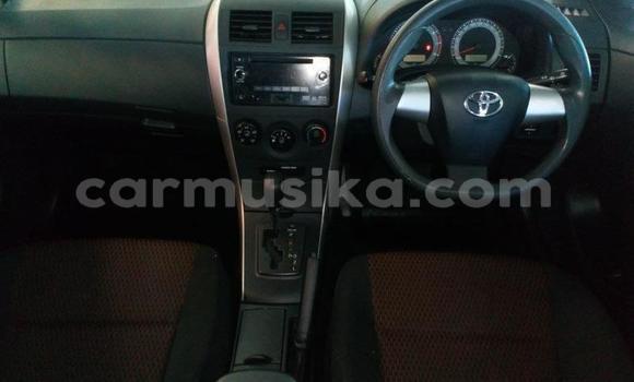 Tenga Tsaru Toyota Corolla Chena Mota in Beitbridge in Matabeleland South Tenga Tsaru Toyota Corolla Chena Mota in Beitbridge in Matabeleland South