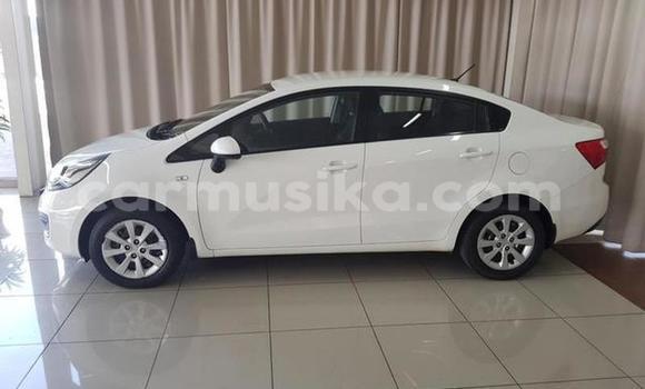 Tenga Tsaru Kia Rio Chena Mota in Beitbridge in Matabeleland South Tenga Tsaru Kia Rio Chena Mota in Beitbridge in Matabeleland South