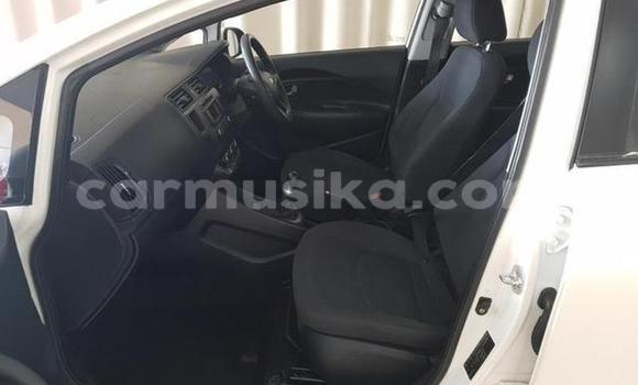 Tenga Tsaru Kia Rio Chena Mota in Beitbridge in Matabeleland South Tenga Tsaru Kia Rio Chena Mota in Beitbridge in Matabeleland South