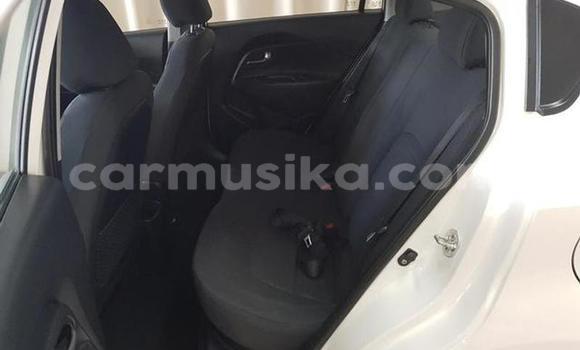 Tenga Tsaru Kia Rio Chena Mota in Beitbridge in Matabeleland South Tenga Tsaru Kia Rio Chena Mota in Beitbridge in Matabeleland South