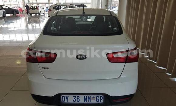 Tenga Tsaru Kia Rio Chena Mota in Beitbridge in Matabeleland South Tenga Tsaru Kia Rio Chena Mota in Beitbridge in Matabeleland South