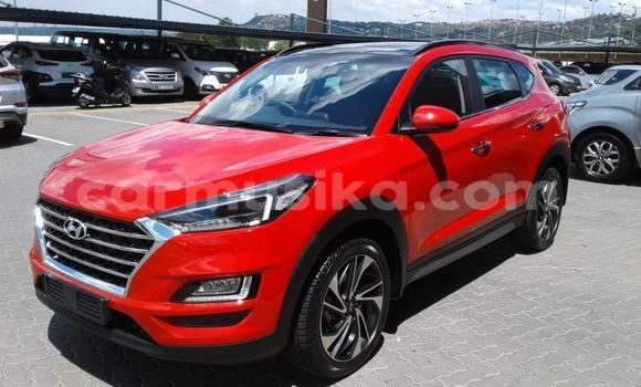Nunua Ilio tumika Hyundai Tucson Nyekundu Gari ndani ya Beitbridge nchini Matabeleland Kusini Nunua Ilio tumika Hyundai Tucson Nyekundu Gari ndani ya Beitbridge nchini Matabeleland Kusini