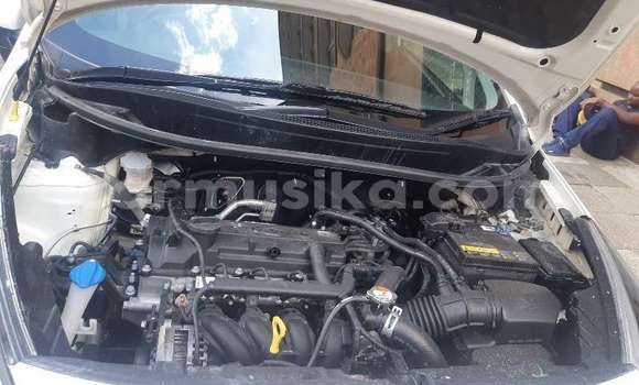 Buy Used Kia Rio White Car in Beitbridge in Matabeleland South Buy Used Kia Rio White Car in Beitbridge in Matabeleland South