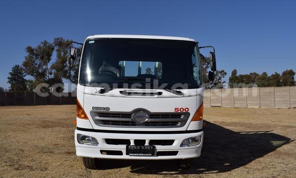 Buy Used Hino 300 Series White Truck in Beitbridge in Matabeleland South Buy Used Hino 300 Series White Truck in Beitbridge in Matabeleland South