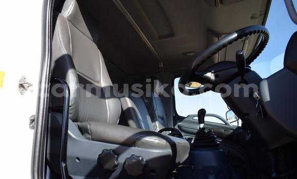 Buy Used Hino 300 Series White Truck in Beitbridge in Matabeleland South Buy Used Hino 300 Series White Truck in Beitbridge in Matabeleland South