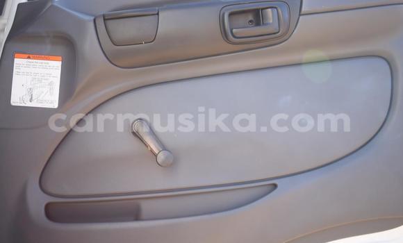 Buy Used Hino 300 Series White Truck in Beitbridge in Matabeleland South Buy Used Hino 300 Series White Truck in Beitbridge in Matabeleland South