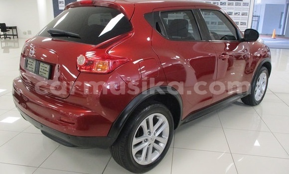 Buy Used Nissan Juke Other Car in Beitbridge in Matabeleland South Buy Used Nissan Juke Other Car in Beitbridge in Matabeleland South