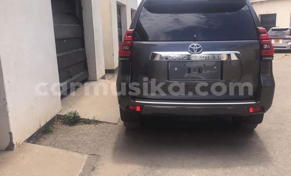 Tenga Tsaru Toyota Land Cruiser Prado Zvimwe Mota in Harare in Harare Tenga Tsaru Toyota Land Cruiser Prado Zvimwe Mota in Harare in Harare