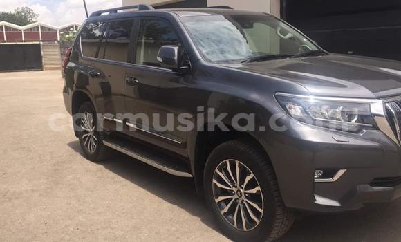 Tenga Tsaru Toyota Land Cruiser Prado Zvimwe Mota in Harare in Harare Tenga Tsaru Toyota Land Cruiser Prado Zvimwe Mota in Harare in Harare