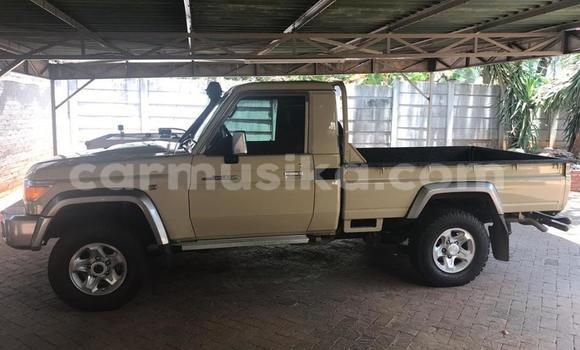 Tenga Tsaru Toyota Land Cruiser Beige Mota in Harare in Harare Tenga Tsaru Toyota Land Cruiser Beige Mota in Harare in Harare