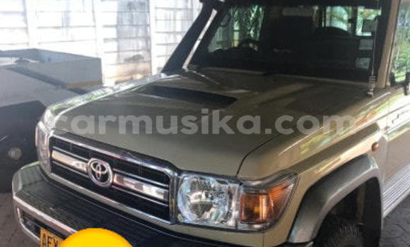 Tenga Tsaru Toyota Land Cruiser Beige Mota in Harare in Harare Tenga Tsaru Toyota Land Cruiser Beige Mota in Harare in Harare