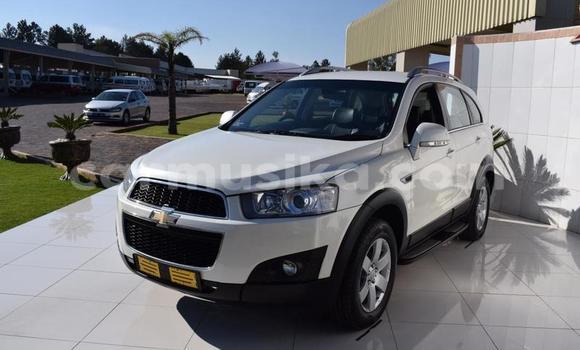 Buy Used Chevrolet Captiva White Car in Beitbridge in Matabeleland South Buy Used Chevrolet Captiva White Car in Beitbridge in Matabeleland South