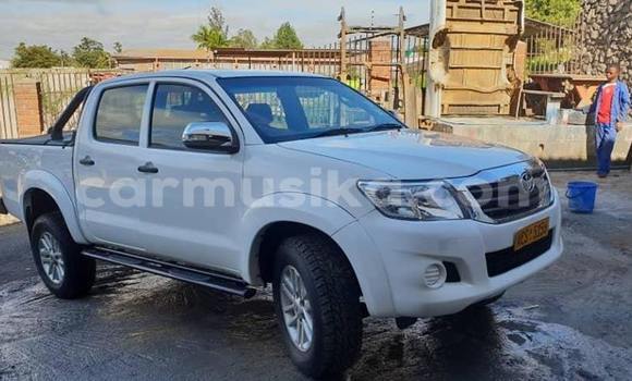 Tenga Tsaru Toyota Hilux Chena Mota in Harare in Harare Tenga Tsaru Toyota Hilux Chena Mota in Harare in Harare