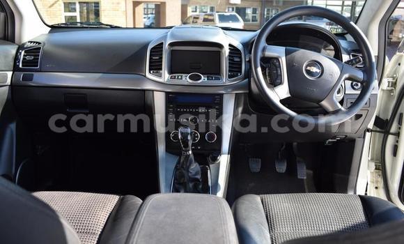 Buy Used Chevrolet Captiva White Car in Beitbridge in Matabeleland South Buy Used Chevrolet Captiva White Car in Beitbridge in Matabeleland South