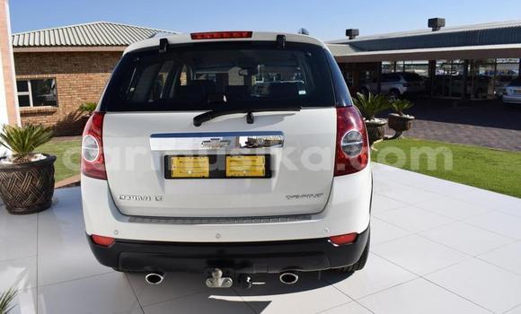Buy Used Chevrolet Captiva White Car in Beitbridge in Matabeleland South Buy Used Chevrolet Captiva White Car in Beitbridge in Matabeleland South