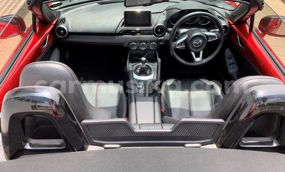 Tenga Tsaru Mazda MX-5 Zvimwe Mota in Beitbridge in Matabeleland South Tenga Tsaru Mazda MX-5 Zvimwe Mota in Beitbridge in Matabeleland South
