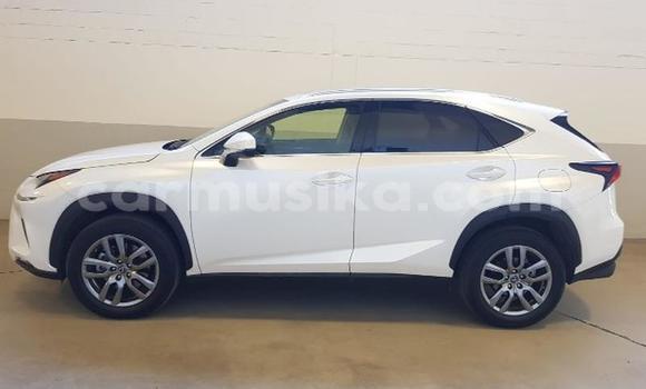 Buy Used Lexus LX 570 White Car in Beitbridge in Matabeleland South Buy Used Lexus LX 570 White Car in Beitbridge in Matabeleland South