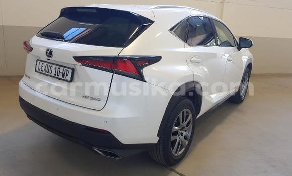 Buy Used Lexus LX 570 White Car in Beitbridge in Matabeleland South Buy Used Lexus LX 570 White Car in Beitbridge in Matabeleland South