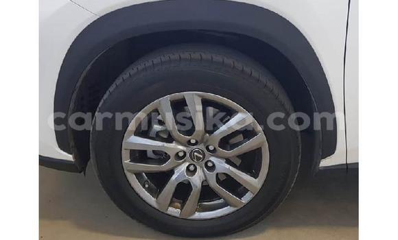 Buy Used Lexus LX 570 White Car in Beitbridge in Matabeleland South Buy Used Lexus LX 570 White Car in Beitbridge in Matabeleland South