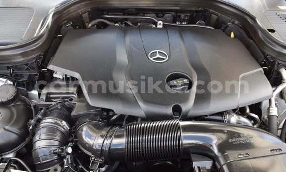 Acheter Occasion Voiture Mercedes‒Benz A-klasse AMG Gris à Beitbridge, Matabeleland South Acheter Occasion Voiture Mercedes‒Benz A-klasse AMG Gris à Beitbridge, Matabeleland South