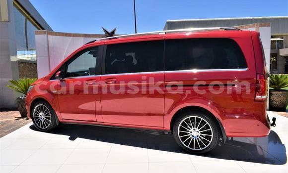 Acheter Occasion Voiture Mercedes Viano Rouge à Beitbridge, Matabeleland South Acheter Occasion Voiture Mercedes Viano Rouge à Beitbridge, Matabeleland South