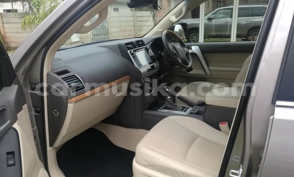 Tenga Tsaru Toyota Land Cruiser Prado Zvimwe Mota in Harare in Harare Tenga Tsaru Toyota Land Cruiser Prado Zvimwe Mota in Harare in Harare