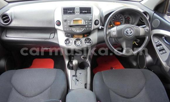 Buy Used Toyota RAV4 Other Car in Harare in Harare Buy Used Toyota RAV4 Other Car in Harare in Harare