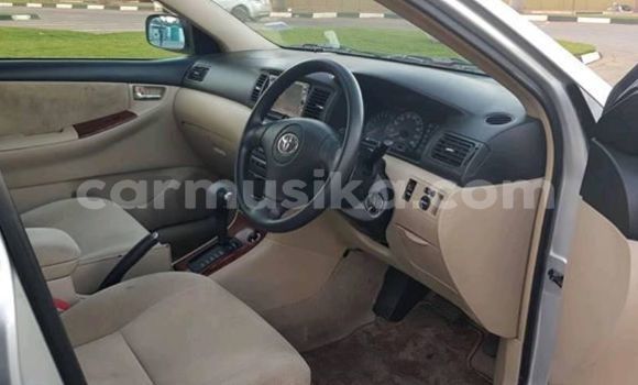 Nunua Ilio tumika Toyota Runx Fedha Gari ndani ya Harare nchini Harare Nunua Ilio tumika Toyota Runx Fedha Gari ndani ya Harare nchini Harare