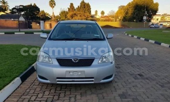 Nunua Ilio tumika Toyota Runx Fedha Gari ndani ya Harare nchini Harare Nunua Ilio tumika Toyota Runx Fedha Gari ndani ya Harare nchini Harare