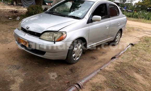 Nunua Ilio tumika Toyota Platz Fedha Gari ndani ya Harare nchini Harare Nunua Ilio tumika Toyota Platz Fedha Gari ndani ya Harare nchini Harare