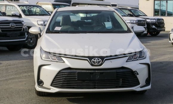 Buy Import Toyota Corolla White Car in Import - Dubai in Harare Buy Import Toyota Corolla White Car in Import - Dubai in Harare