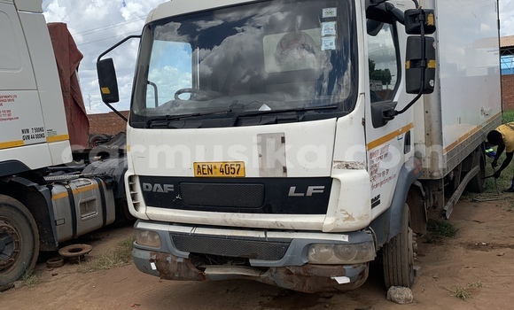 Nunua Ilio tumika DAF LF Nyeupe Lori ndani ya Harare nchini Harare