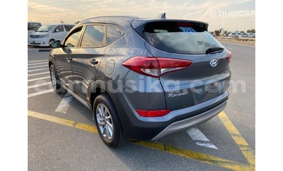 Tenga Imported Hyundai Tucson Chena Mota in Import - Dubai in Harare Tenga Imported Hyundai Tucson Chena Mota in Import - Dubai in Harare