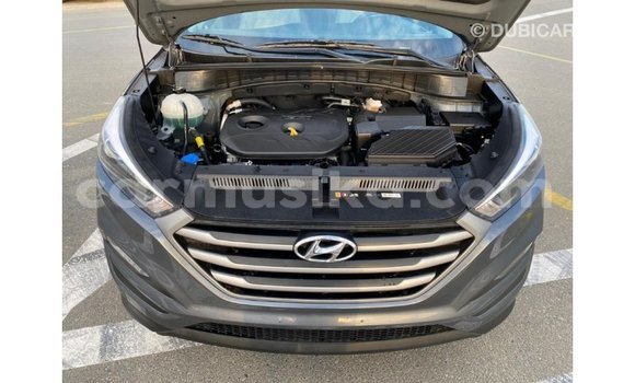 Tenga Imported Hyundai Tucson Chena Mota in Import - Dubai in Harare Tenga Imported Hyundai Tucson Chena Mota in Import - Dubai in Harare