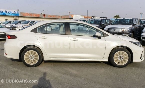Buy Import Toyota Corolla White Car in Import - Dubai in Harare Buy Import Toyota Corolla White Car in Import - Dubai in Harare