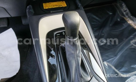 Buy Import Toyota Corolla White Car in Import - Dubai in Harare Buy Import Toyota Corolla White Car in Import - Dubai in Harare