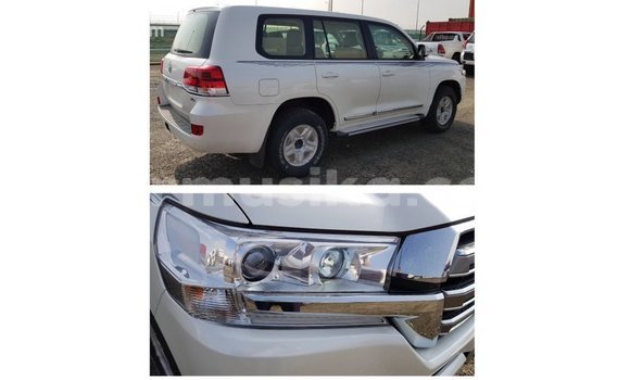 Buy Import Toyota Land Cruiser White Car in Import - Dubai in Harare Buy Import Toyota Land Cruiser White Car in Import - Dubai in Harare