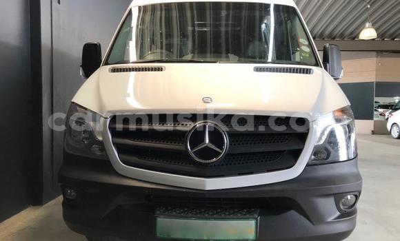 Nunua Ilio tumika Mercedes‒Benz Sprinter Nyeupe Lori ndani ya Beitbridge nchini Matabeleland Kusini