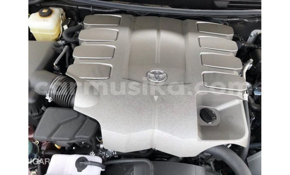 Buy Import Toyota Land Cruiser Other Car in Import - Dubai in Harare Buy Import Toyota Land Cruiser Other Car in Import - Dubai in Harare