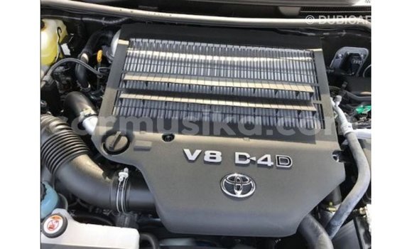 Buy Import Toyota Land Cruiser White Car in Import - Dubai in Harare Buy Import Toyota Land Cruiser White Car in Import - Dubai in Harare
