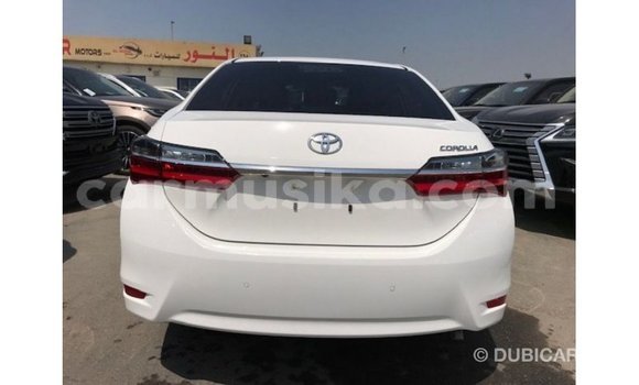 Tenga Imported Toyota Corolla Chena Mota in Import - Dubai in Harare Tenga Imported Toyota Corolla Chena Mota in Import - Dubai in Harare