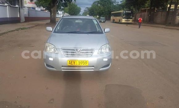 Acheter Occasion Voiture Toyota Allex Gris à Harare, Harare Acheter Occasion Voiture Toyota Allex Gris à Harare, Harare