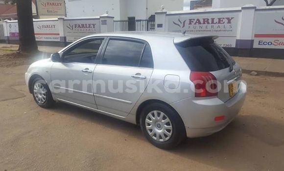 Acheter Occasion Voiture Toyota Allex Gris à Harare, Harare Acheter Occasion Voiture Toyota Allex Gris à Harare, Harare