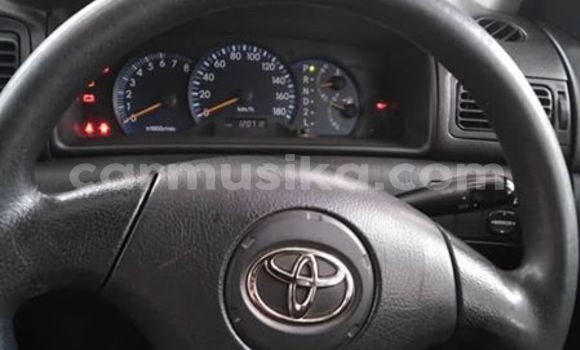 Acheter Occasion Voiture Toyota Allex Gris à Harare, Harare Acheter Occasion Voiture Toyota Allex Gris à Harare, Harare