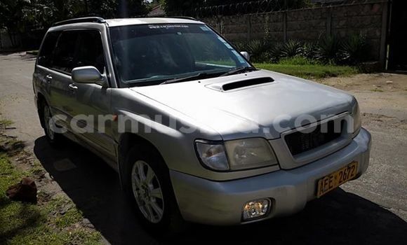 Acheter Occasion Voiture Subaru Forester Gris à Harare, Harare Acheter Occasion Voiture Subaru Forester Gris à Harare, Harare