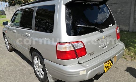 Acheter Occasion Voiture Subaru Forester Gris à Harare, Harare Acheter Occasion Voiture Subaru Forester Gris à Harare, Harare