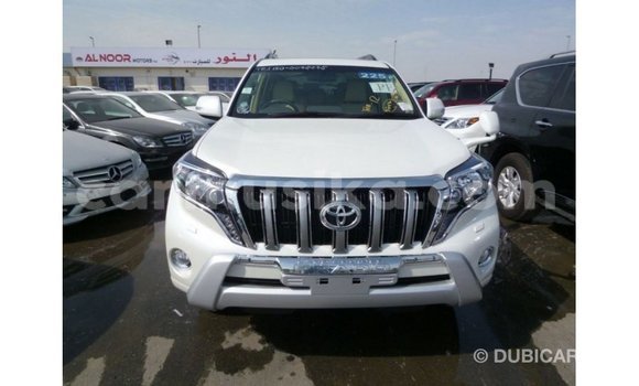 Nunua Imported Toyota Prado Nyeupe Gari ndani ya Import - Dubai nchini Harare Nunua Imported Toyota Prado Nyeupe Gari ndani ya Import - Dubai nchini Harare