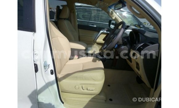 Tenga Imported Toyota Prado Chena Mota in Import - Dubai in Harare Tenga Imported Toyota Prado Chena Mota in Import - Dubai in Harare