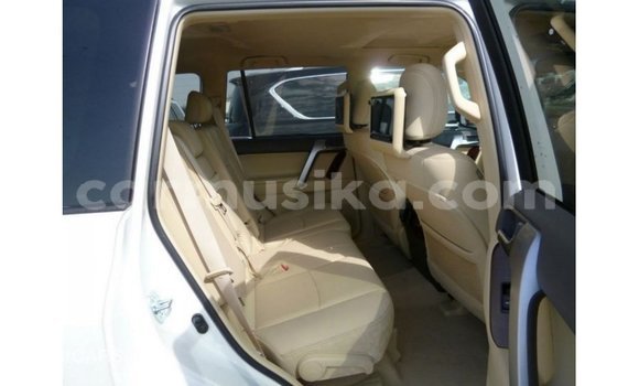 Tenga Imported Toyota Prado Chena Mota in Import - Dubai in Harare Tenga Imported Toyota Prado Chena Mota in Import - Dubai in Harare