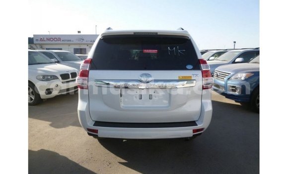 Nunua Imported Toyota Prado Nyeupe Gari ndani ya Import - Dubai nchini Harare Nunua Imported Toyota Prado Nyeupe Gari ndani ya Import - Dubai nchini Harare